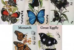 Karty motýlů