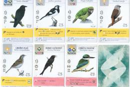 ukázka karet ptáků s novými efekty (včetně rubu)