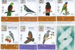 ukázka karet ptáků s novými efekty a využitím nektaru (včetně rubu)