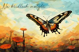 Na křídlech motýlů - obrázek