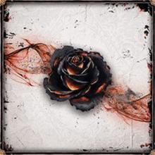 Black Rose Wars - obrázek