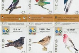 Ptáci z multi biotopu - příklad